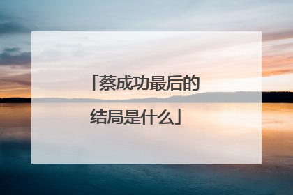 蔡成功最后的结局是什么