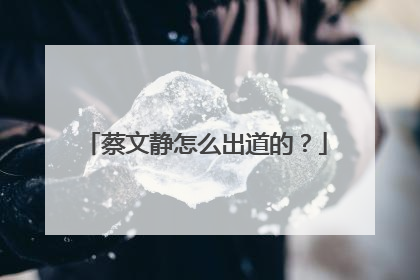 蔡文静怎么出道的？