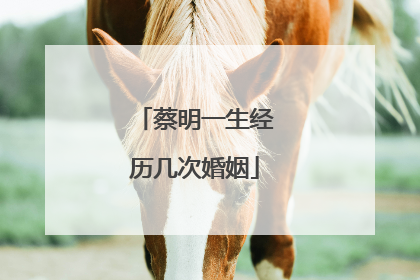 蔡明一生经历几次婚姻