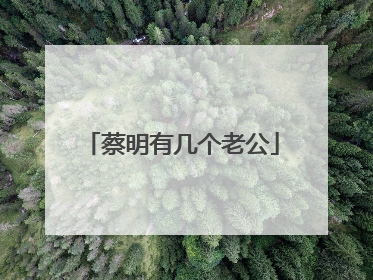 蔡明有几个老公