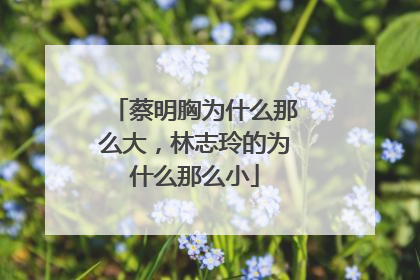 蔡明胸为什么那么大，林志玲的为什么那么小