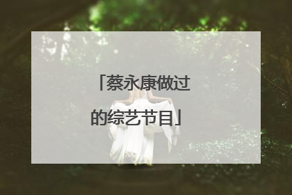 蔡永康做过的综艺节目