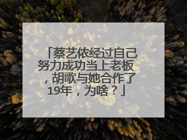 蔡艺侬经过自己努力成功当上老板，胡歌与她合作了19年，为啥？