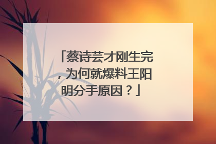 蔡诗芸才刚生完,为何就爆料王阳明分手原因?