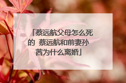 蔡远航父母怎么死的 蔡远航和前妻孙茜为什么离婚