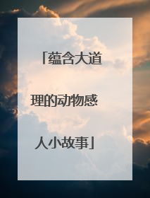 蕴含大道理的动物感人小故事