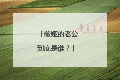 薇娅的老公到底是谁?