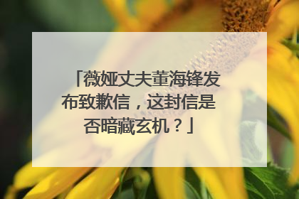 薇娅丈夫董海锋发布致歉信,这封信是否暗藏玄机?