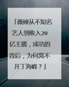 薇娅从不知名艺人到收入20亿主播,成功的背后,为何离不开丁海峰?