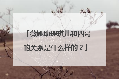 薇娅助理琪儿和四哥的关系是什么样的?