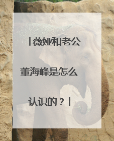 薇娅和老公董海峰是怎么认识的?