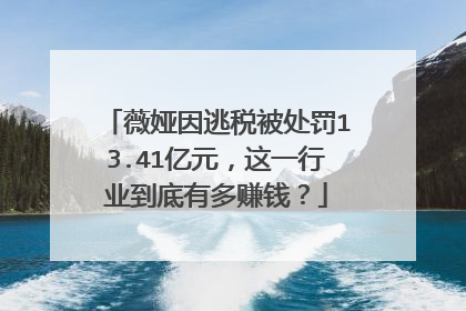 薇娅因逃税被处罚13.41亿元，这一行业到底有多赚钱？