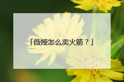 薇娅怎么卖火箭？