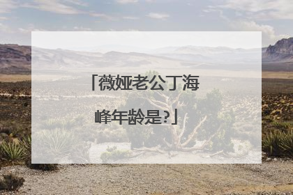 薇娅老公丁海峰年龄是?