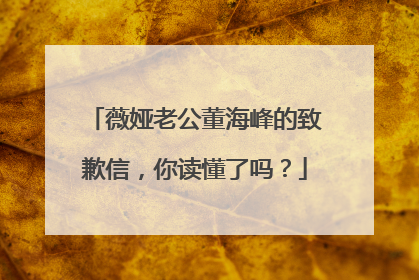 薇娅老公董海峰的致歉信,你读懂了吗?
