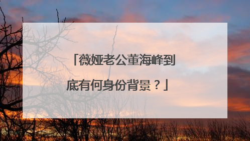 薇娅老公董海峰到底有何身份背景?