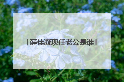 薛佳凝现任老公是谁