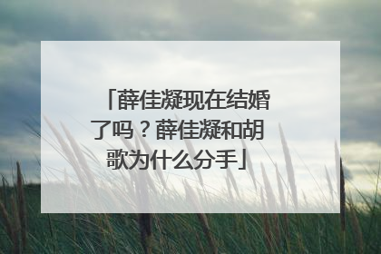薛佳凝现在结婚了吗？薛佳凝和胡歌为什么分手