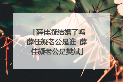 薛佳凝结婚了吗 薛佳凝老公是谁 薛佳凝老公是樊斌
