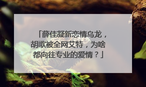 薛佳凝新恋情乌龙,胡歌被全网艾特,为啥都向往专业的爱情?