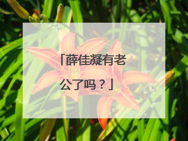 薛佳凝有老公了吗？