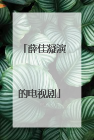 薛佳凝演的电视剧