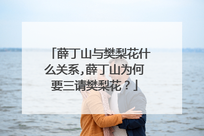 薛丁山与樊梨花什么关系,薛丁山为何要三请樊梨花?