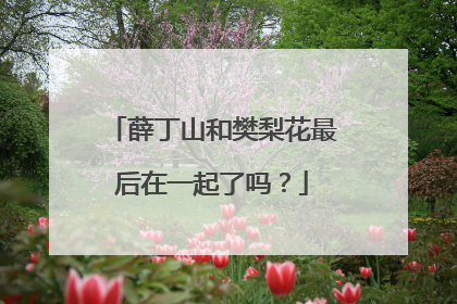 薛丁山和樊梨花最后在一起了吗?