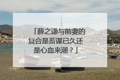 薛之谦与前妻的复合是蓄谋已久还是心血来潮？