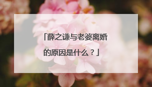 薛之谦与老婆离婚的原因是什么?