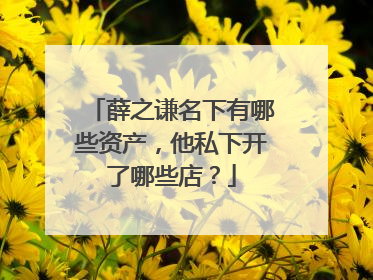 薛之谦名下有哪些资产，他私下开了哪些店？