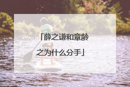 薛之谦和章龄之为什么分手