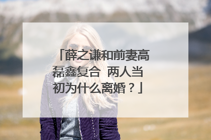 薛之谦和前妻高磊鑫复合 两人当初为什么离婚?