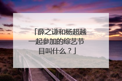 薛之谦和杨超越一起参加的综艺节目叫什么？