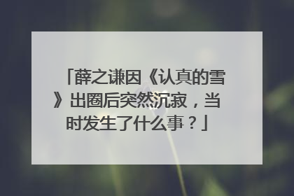 薛之谦因《认真的雪》出圈后突然沉寂，当时发生了什么事？