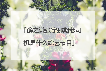 薛之谦张宇那期老司机是什么综艺节目