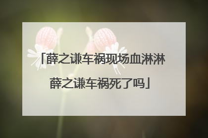 薛之谦车祸现场血淋淋 薛之谦车祸死了吗