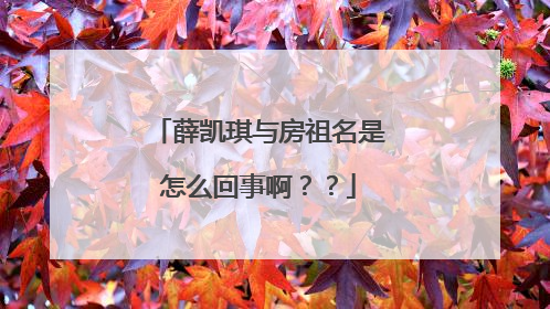 薛凯琪与房祖名是怎么回事啊？？