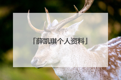 薛凯琪个人资料