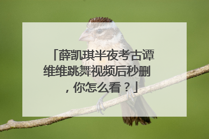 薛凯琪半夜考古谭维维跳舞视频后秒删,你怎么看?