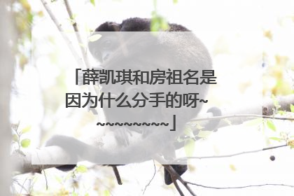 薛凯琪和房祖名是因为什么分手的呀~~~~~~~~~