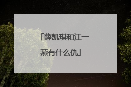 薛凯琪和江一燕有什么仇