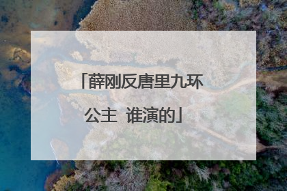 薛刚反唐里九环公主 谁演的