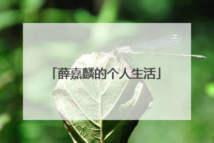 薛嘉麟的个人生活