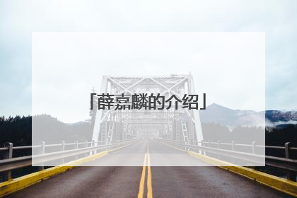 薛嘉麟的介绍