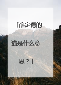 薛定谔的猫是什么意思?