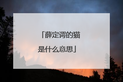 薛定谔的猫是什么意思