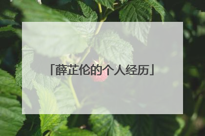 薛芷伦的个人经历