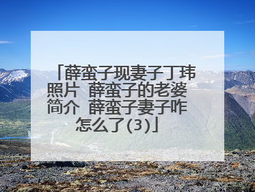 薛蛮子现妻子丁玮照片 薛蛮子的老婆简介 薛蛮子妻子咋怎么了(3)