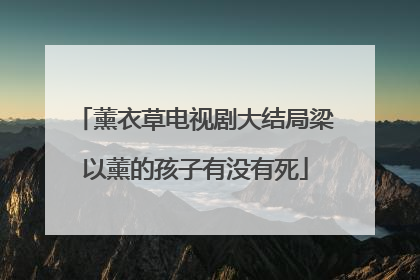 薰衣草电视剧大结局梁以薰的孩子有没有死